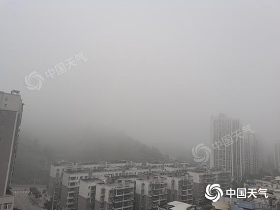 紧急程度等级划分颜色?宜宾大雾天气持续多少天-图2 紧急程度等级划分颜色?宜宾大雾天气持续多少天-图2