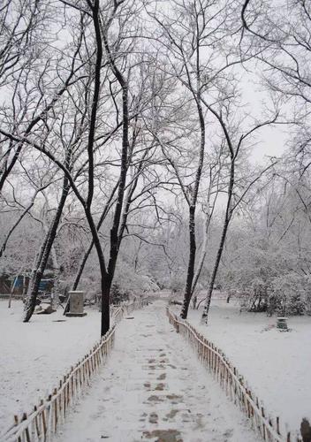 博山区下雪大不大?淄博冬天1月多少度-图1 博山区下雪大不大?淄博冬天1月多少度-图1