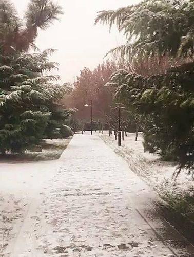 博山区下雪大不大?淄博冬天1月多少度-图2 博山区下雪大不大?淄博冬天1月多少度-图2