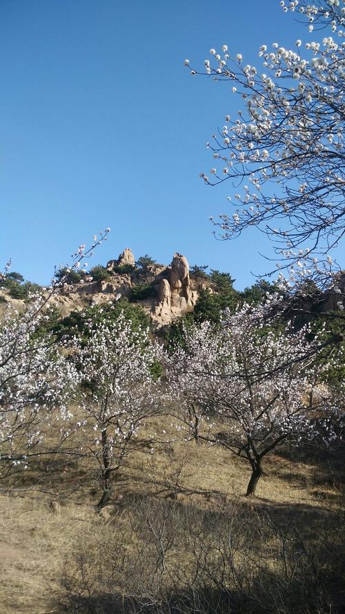 辽宁副地级市?瓦房店距锦州北镇多少-图1 辽宁副地级市?瓦房店距锦州北镇多少-图1