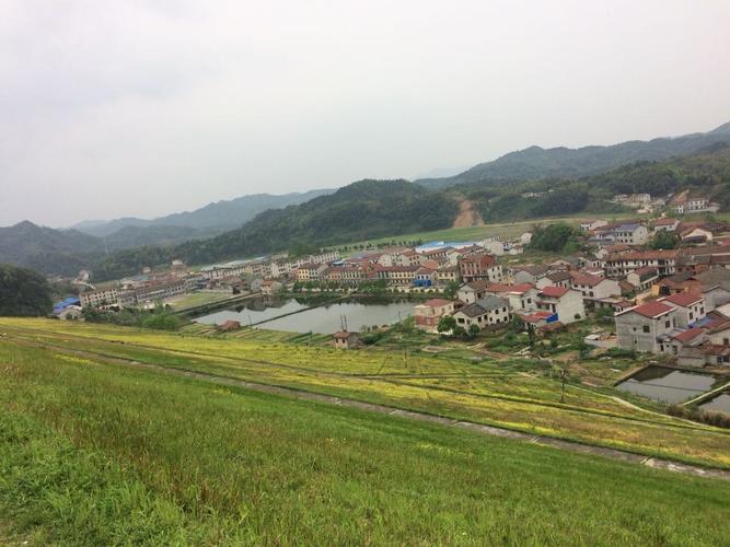 临湘属于岳阳市吗?临湘桃林镇多少人口-图3 临湘属于岳阳市吗?临湘桃林镇多少人口-图3