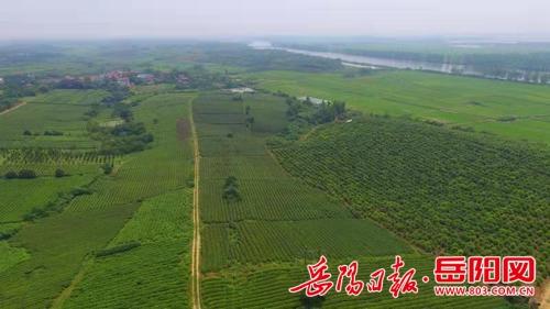 三门峡有什么水库?汨罗营田镇多少人口-图3 三门峡有什么水库?汨罗营田镇多少人口-图3