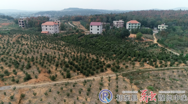 农村修生产路谁出钱?祁东砖塘镇有多少乡村-图1 农村修生产路谁出钱?祁东砖塘镇有多少乡村-图1