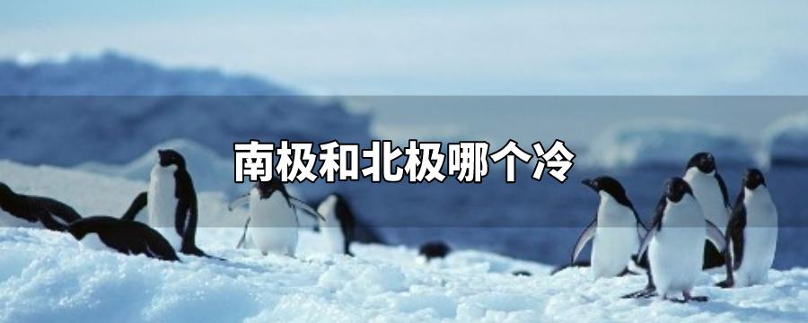 南极北极有多冷?南极比北极冷多少度-图2 南极北极有多冷?南极比北极冷多少度-图2
