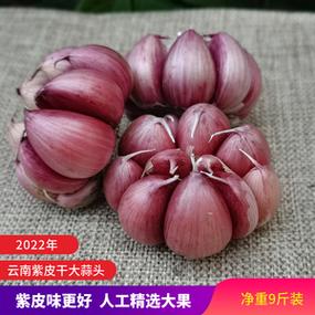 云南哪里红蒜最好?弥渡年平均水温是多少-图1 云南哪里红蒜最好?弥渡年平均水温是多少-图1