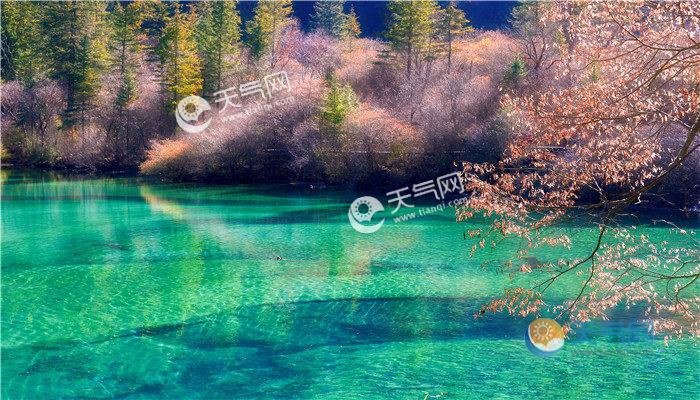 九寨沟海拔多少米?九寨沟市海拔多少米-图1 九寨沟海拔多少米?九寨沟市海拔多少米-图1