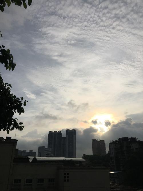 广州夏天的气候怎么样啊?像现在大概多少度啊?广州市8月份天气有多少度-图3 广州夏天的气候怎么样啊?像现在大概多少度啊?广州市8月份天气有多少度-图3