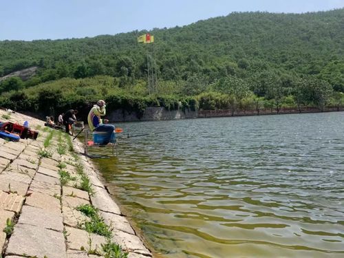 泰安市黄花岭水库让不让钓鱼?泰安大气污染多少吨-图2 泰安市黄花岭水库让不让钓鱼?泰安大气污染多少吨-图2