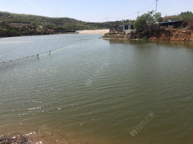 泰安市黄花岭水库让不让钓鱼?泰安大气污染多少吨-图3 泰安市黄花岭水库让不让钓鱼?泰安大气污染多少吨-图3