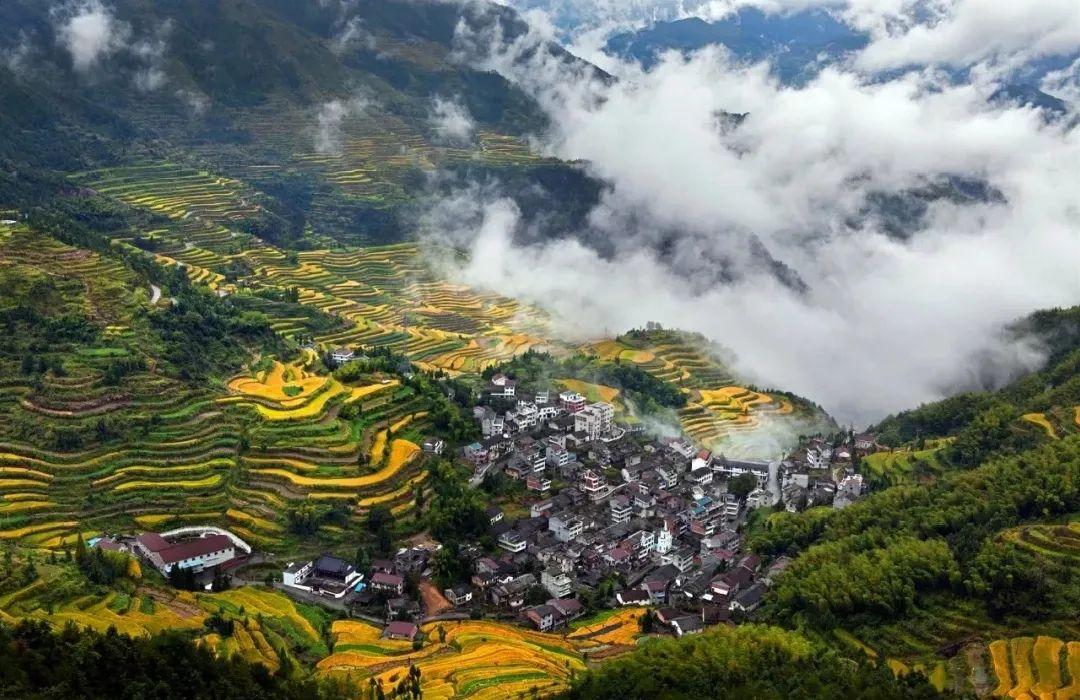 丽水一共有几个县市?景宁到鸬鹚多少公里-图2 丽水一共有几个县市?景宁到鸬鹚多少公里-图2