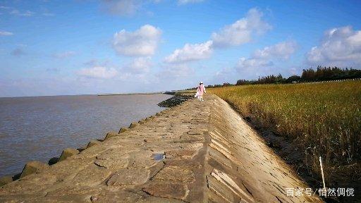 崇明岛海水怎样?崇明岛现在温度多少钱-图1 崇明岛海水怎样?崇明岛现在温度多少钱-图1