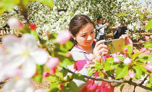 贡嘎海棠花节时间?6月到乡城县温度多少-图2 贡嘎海棠花节时间?6月到乡城县温度多少-图2