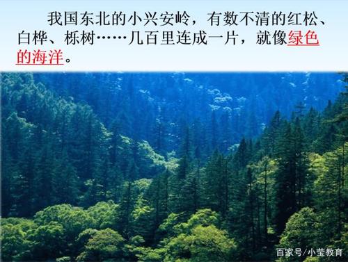 小兴安岭是怎样形成的?小兴安岭温度是多少-图1 小兴安岭是怎样形成的?小兴安岭温度是多少-图1