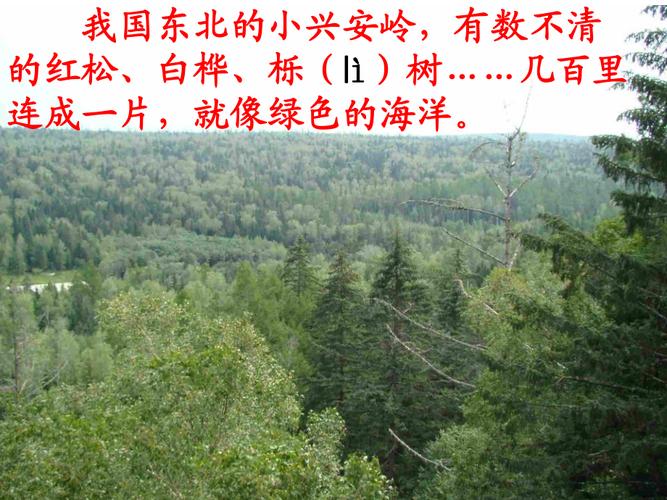 小兴安岭是怎样形成的?小兴安岭温度是多少-图3 小兴安岭是怎样形成的?小兴安岭温度是多少-图3