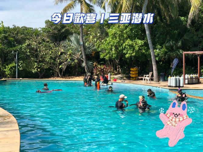 二月份去三亚,那时候海水冷不冷,能不能游泳和潜水?28号三亚气温多少-图1 二月份去三亚,那时候海水冷不冷,能不能游泳和潜水?28号三亚气温多少-图1