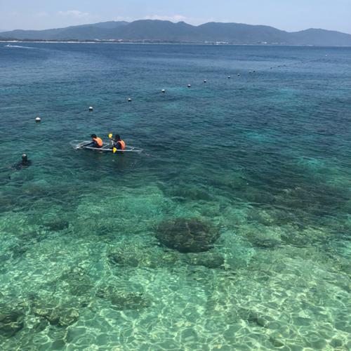 二月份去三亚,那时候海水冷不冷,能不能游泳和潜水?28号三亚气温多少-图3 二月份去三亚,那时候海水冷不冷,能不能游泳和潜水?28号三亚气温多少-图3
