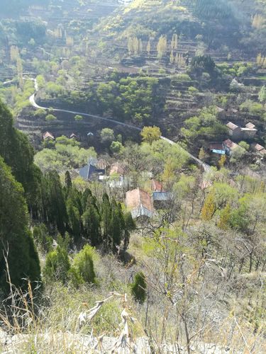 青州文登去庙子怎么走?济南市到青州庙子镇多少公里-图1 青州文登去庙子怎么走?济南市到青州庙子镇多少公里-图1