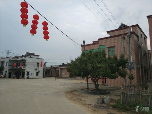 汕尾市陆河县新田镇有谁知道？宜春市新田镇多少人口-图1