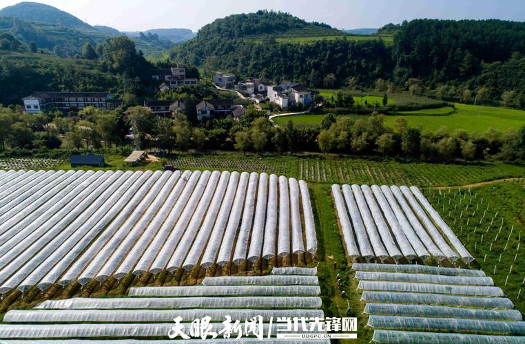 522423开头的身份证号码是哪里的?黔西县洪水镇邮政编码是多少-图2 522423开头的身份证号码是哪里的?黔西县洪水镇邮政编码是多少-图2