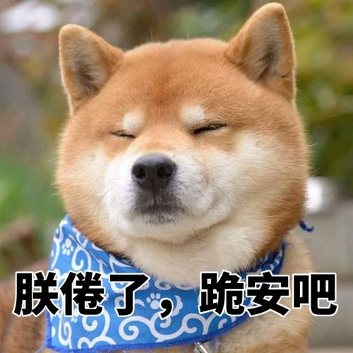 跪安吧下一句怎么回答?查五公多少钱-图3 跪安吧下一句怎么回答?查五公多少钱-图3