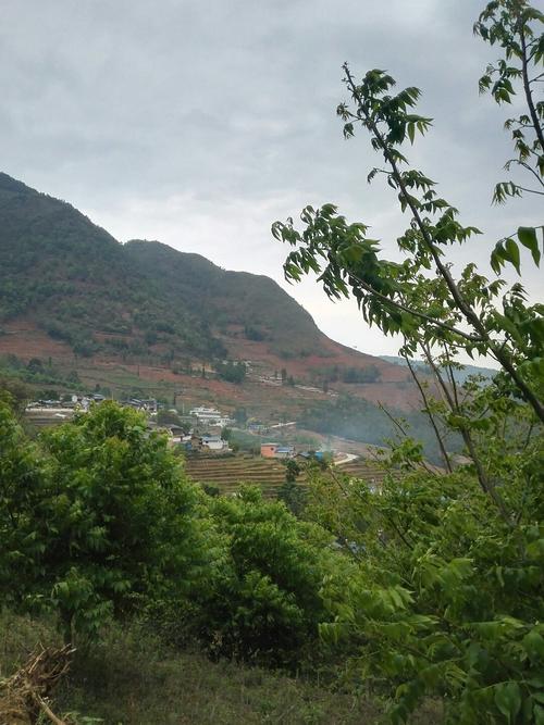 云南保山海拔多少?云南保山市龙陵县海拔多少-图3 云南保山海拔多少?云南保山市龙陵县海拔多少-图3