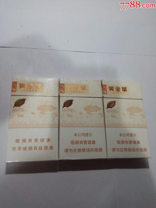 黄金叶的种类怎么看?黄金叶共有多少种类-图2 黄金叶的种类怎么看?黄金叶共有多少种类-图2