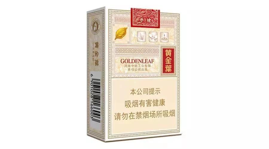 黄金叶的种类怎么看?黄金叶共有多少种类-图3 黄金叶的种类怎么看?黄金叶共有多少种类-图3