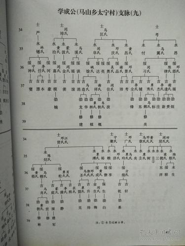 广西陆姓家族的来龙去脉?横县到湖北?@州有多少公里-图1 广西陆姓家族的来龙去脉?横县到湖北?@州有多少公里-图1