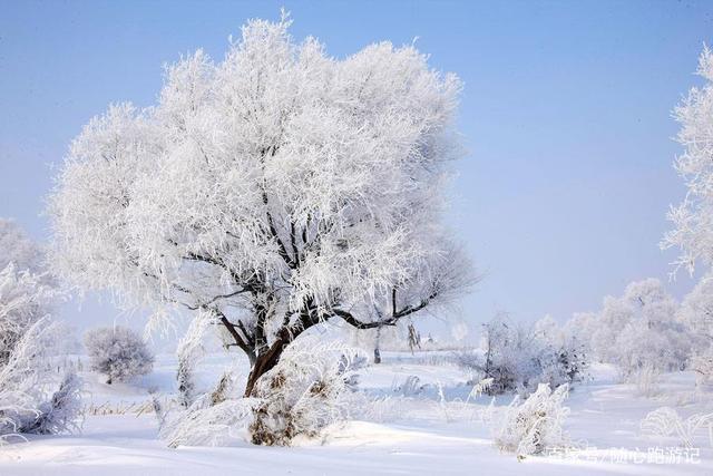气温多少度才会看到下雪和雾淞?积雪需要多少度-图1 气温多少度才会看到下雪和雾淞?积雪需要多少度-图1