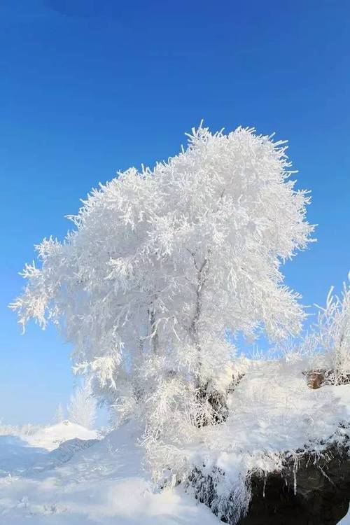 气温多少度才会看到下雪和雾淞?积雪需要多少度-图2 气温多少度才会看到下雪和雾淞?积雪需要多少度-图2