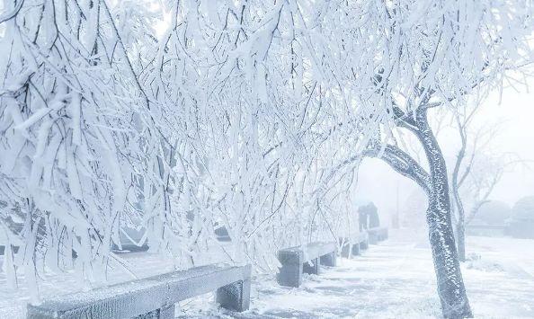 气温多少度才会看到下雪和雾淞?积雪需要多少度-图3 气温多少度才会看到下雪和雾淞?积雪需要多少度-图3