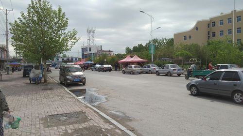 辽宁鞍山2020能最低气温是多少度?王石镇到海城市多少公里-图2 辽宁鞍山2020能最低气温是多少度?王石镇到海城市多少公里-图2