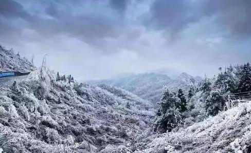 贵阳冬天和重庆冬天哪个冷？重庆冬季最冷多少度百科-图1