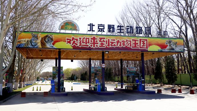 北京动物园3月份值得去吗？北京三月份温度一般是多少度-图3