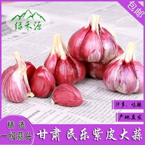 独头蒜哪里产的最好?甘肃民乐县海拔多少-图1 独头蒜哪里产的最好?甘肃民乐县海拔多少-图1