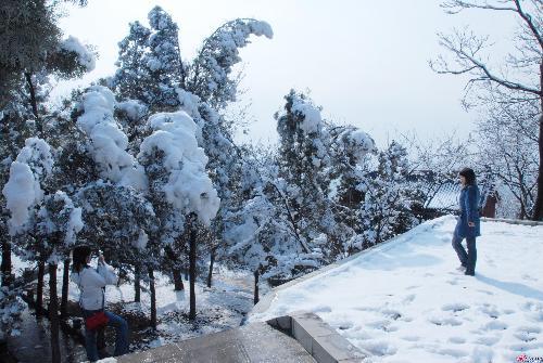 济宁什么时候下雪?济宁11月温度一般是多少-图3 济宁什么时候下雪?济宁11月温度一般是多少-图3