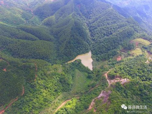 东南金矿桃花,历史?梧州到平福多少公里-图1 东南金矿桃花,历史?梧州到平福多少公里-图1