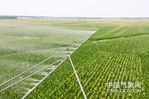 喷淋头零下多少度冻坏?地里喷草天气多少度-图2 喷淋头零下多少度冻坏?地里喷草天气多少度-图2