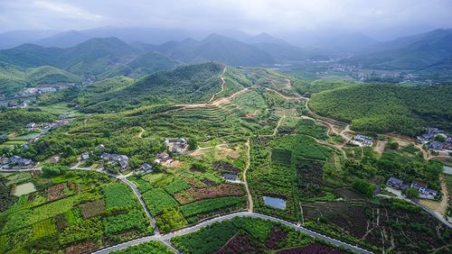 余杭有什么镇?临平到鸬鸟多少时间-图1 余杭有什么镇?临平到鸬鸟多少时间-图1