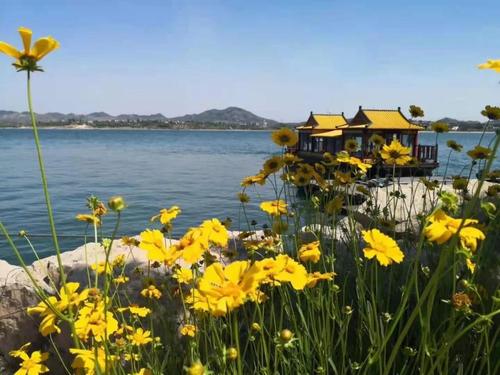 济南夏天遛娃好去处?雪野湖一周多少-图2 济南夏天遛娃好去处?雪野湖一周多少-图2