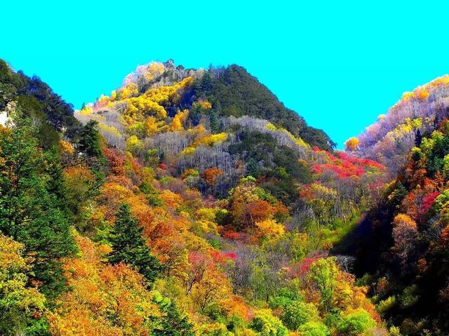 四川红叶最佳观赏地点?什邡到毕棚沟多少公里-图2 四川红叶最佳观赏地点?什邡到毕棚沟多少公里-图2