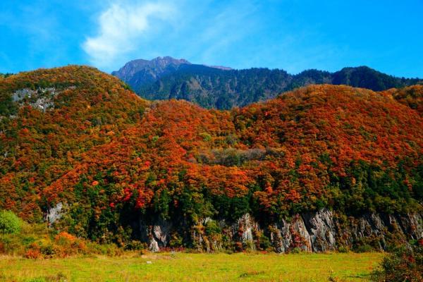 四川红叶最佳观赏地点?什邡到毕棚沟多少公里-图1 四川红叶最佳观赏地点?什邡到毕棚沟多少公里-图1