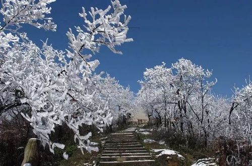 为什么都3月份了还这么冷啊?贵州桐梓冬天温度多少时间-图1 为什么都3月份了还这么冷啊?贵州桐梓冬天温度多少时间-图1