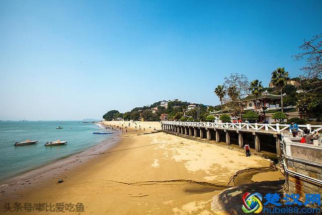 5月去厦门旅游应该带些什么必备品呢?五月份厦门多少度-图1 5月去厦门旅游应该带些什么必备品呢?五月份厦门多少度-图1