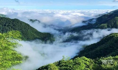 2023四明山旅游推荐会哪12个项目?定制鹤山晚间天气短信是多少-图3 2023四明山旅游推荐会哪12个项目?定制鹤山晚间天气短信是多少-图3