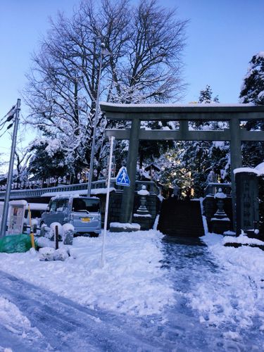 日本哪些地方不下雪?最近日本的温度是多少-图1 日本哪些地方不下雪?最近日本的温度是多少-图1