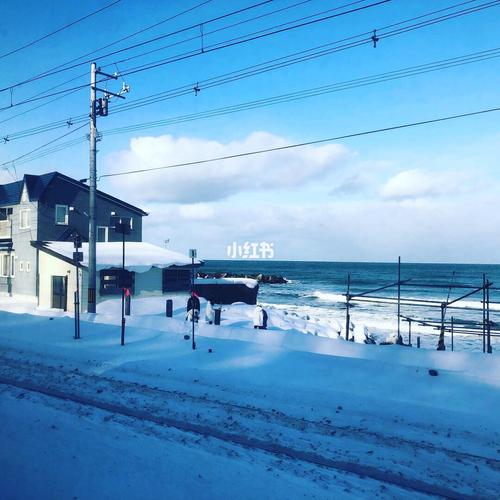 日本哪些地方不下雪?最近日本的温度是多少-图2 日本哪些地方不下雪?最近日本的温度是多少-图2