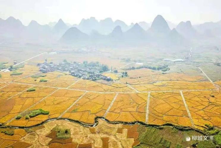 广西平南县属于哪个市?平南去年的平均温度是多少-图3 广西平南县属于哪个市?平南去年的平均温度是多少-图3
