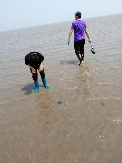 曹妃甸赶海8月份最佳去处?曹妃甸去年最高气温是多少度-图2 曹妃甸赶海8月份最佳去处?曹妃甸去年最高气温是多少度-图2
