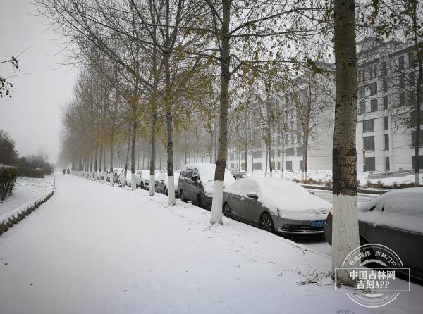 长春公主岭下雪了吗?明天德惠气温多少度-图1 长春公主岭下雪了吗?明天德惠气温多少度-图1